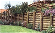 Treated pine logs retaining wall